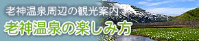 �V�_���ӂ̊y���ݕ�